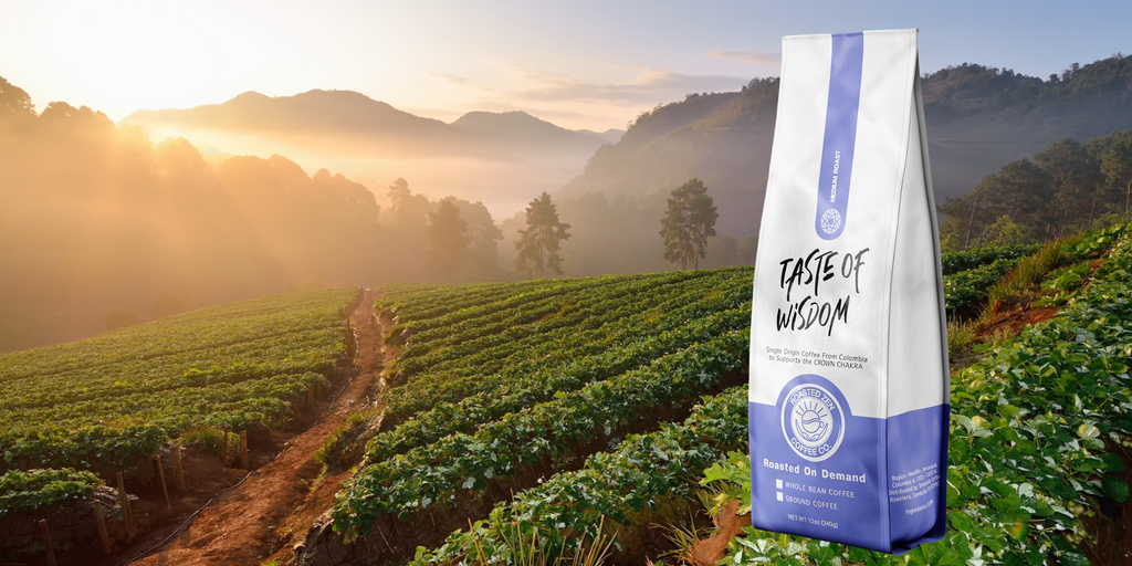 Coffee farm with Taste of Wisdom product bag displayed